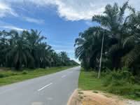 For Sale - Panchang Bedena, Sabak Bernam Selangor