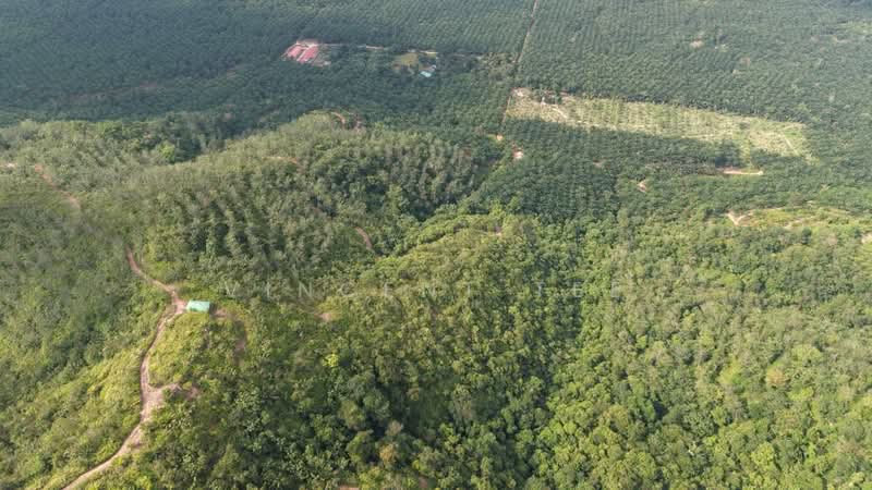 Tanah Pertanian untuk Dijual di Bentong (Pahang) - Vincent Tee - Exterior - PropertyGuru.com.my