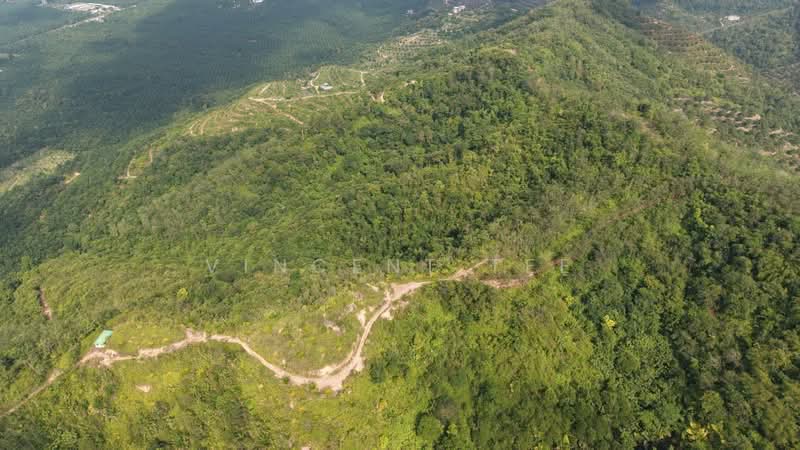 Tanah Pertanian untuk Dijual di Bentong (Pahang) - Vincent Tee - Exterior - PropertyGuru.com.my
