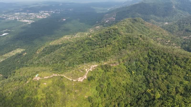 Tanah Pertanian untuk Dijual di Bentong (Pahang) - Vincent Tee - Exterior - PropertyGuru.com.my