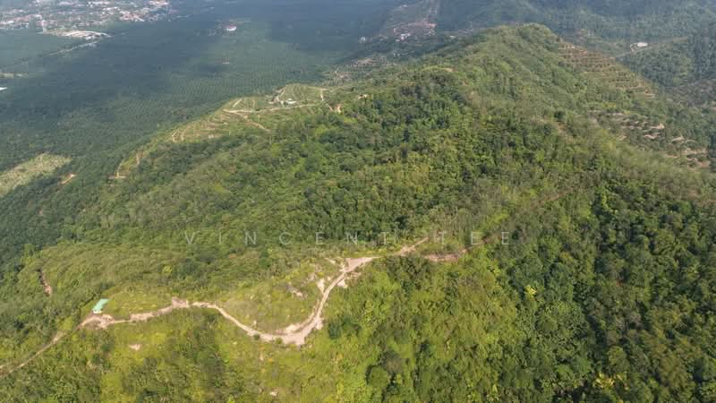 Tanah Pertanian untuk Dijual di Bentong (Pahang) - Vincent Tee - PropertyGuru.com.my