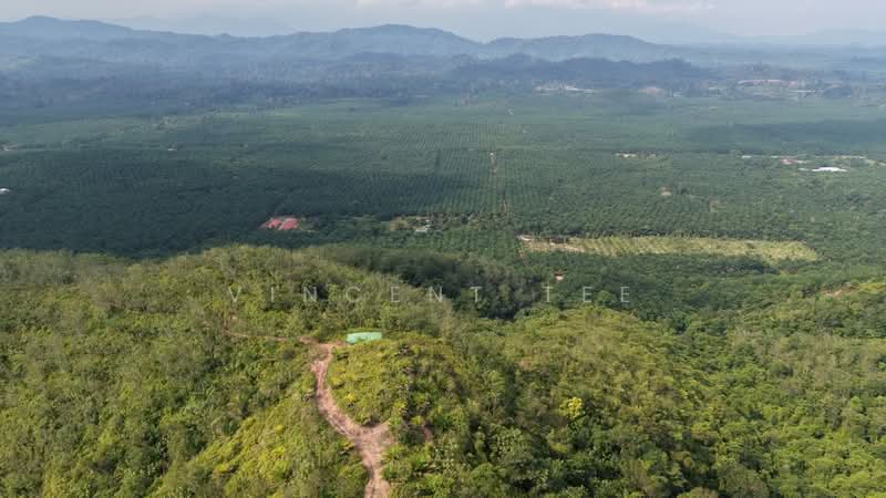Tanah Pertanian untuk Dijual di Bentong (Pahang) - Vincent Tee - Exterior - PropertyGuru.com.my