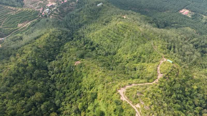 Tanah Pertanian untuk Dijual di Bentong (Pahang) - Vincent Tee - Exterior - PropertyGuru.com.my