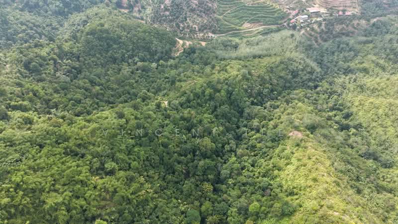 Tanah Pertanian untuk Dijual di Bentong (Pahang) - Vincent Tee - Exterior - PropertyGuru.com.my