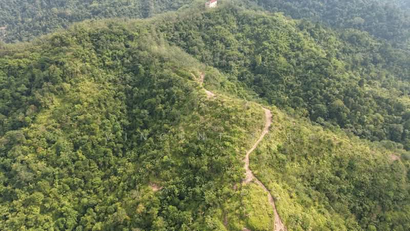 Tanah Pertanian untuk Dijual di Bentong (Pahang) - Vincent Tee - PropertyGuru.com.my