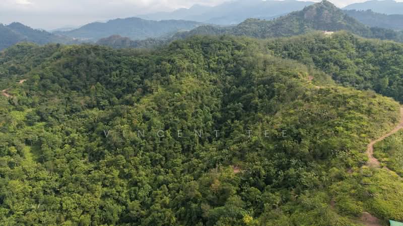 Tanah Pertanian untuk Dijual di Bentong (Pahang) - Vincent Tee - Exterior - PropertyGuru.com.my