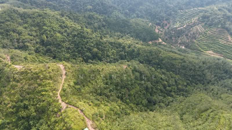 Tanah Pertanian untuk Dijual di Bentong (Pahang) - Vincent Tee - Exterior - PropertyGuru.com.my