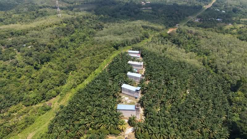 Tanah Pertanian untuk Dijual di Kuala Lipis (Pahang) - Vincent Tee - Exterior - PropertyGuru.com.my