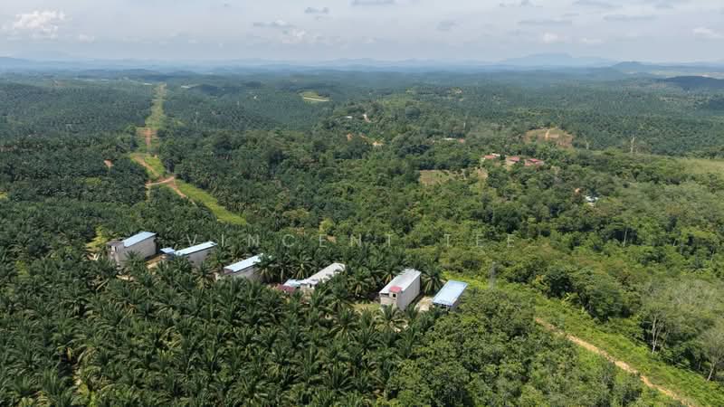 Tanah Pertanian untuk Dijual di Kuala Lipis (Pahang) - Vincent Tee - Exterior - PropertyGuru.com.my