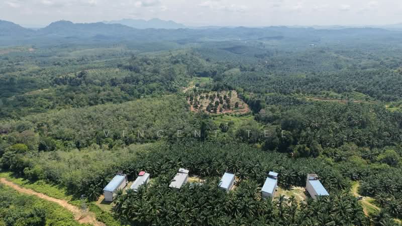 Tanah Pertanian untuk Dijual di Kuala Lipis (Pahang) - Vincent Tee - Exterior - PropertyGuru.com.my