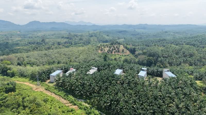 Tanah Pertanian untuk Dijual di Kuala Lipis (Pahang) - Vincent Tee - Exterior - PropertyGuru.com.my