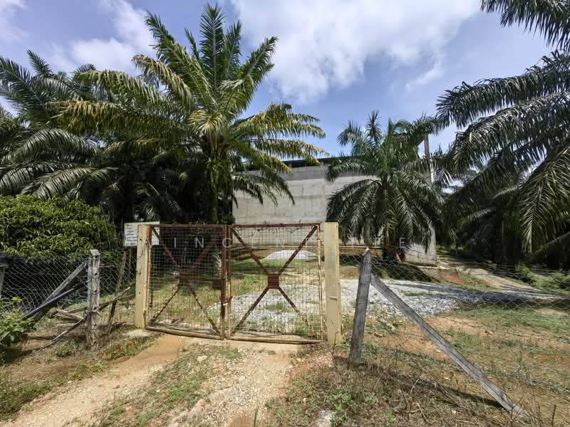 Tanah Pertanian untuk Dijual di Kuala Lipis (Pahang) - Vincent Tee - PropertyGuru.com.my