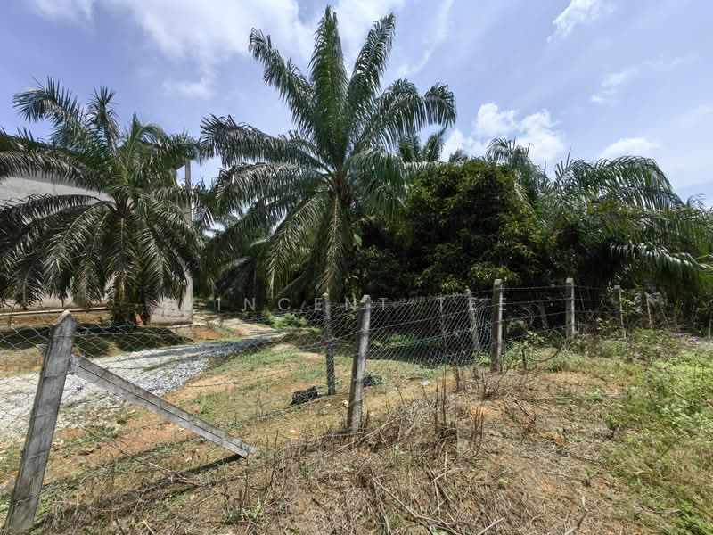 Tanah Pertanian untuk Dijual di Kuala Lipis (Pahang) - Vincent Tee - PropertyGuru.com.my