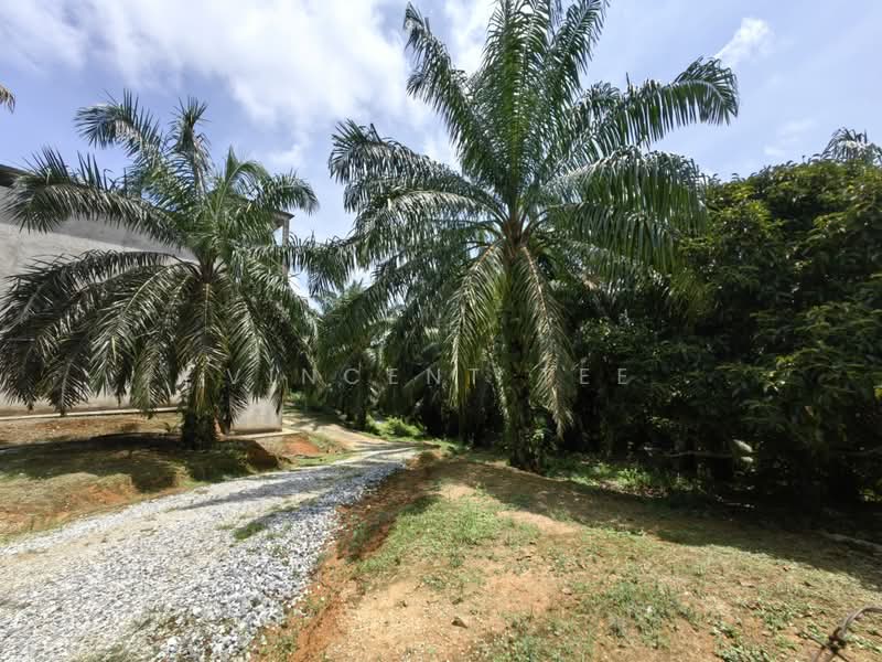 Tanah Pertanian untuk Dijual di Kuala Lipis (Pahang) - Vincent Tee - PropertyGuru.com.my