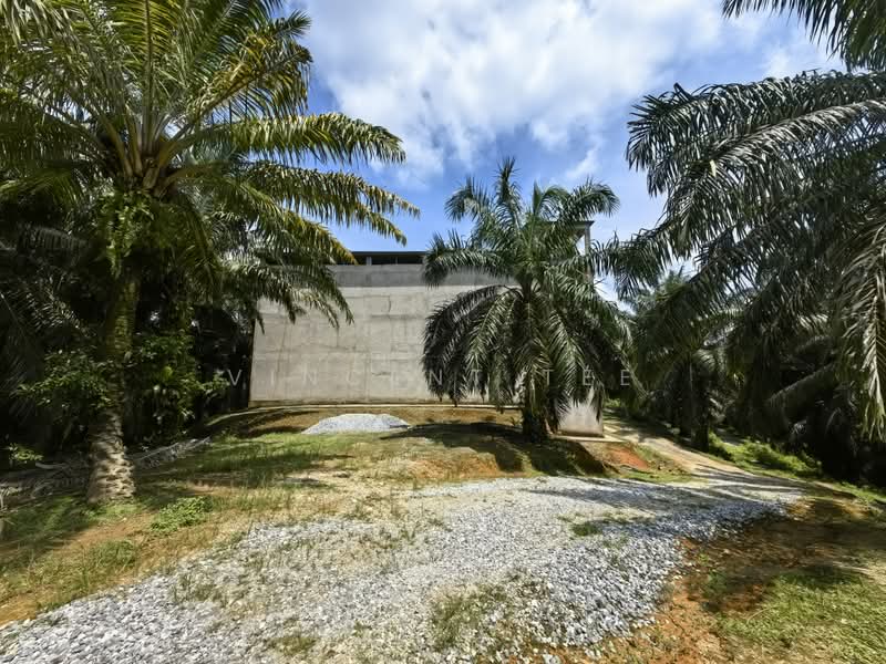 Tanah Pertanian untuk Dijual di Kuala Lipis (Pahang) - Vincent Tee - PropertyGuru.com.my