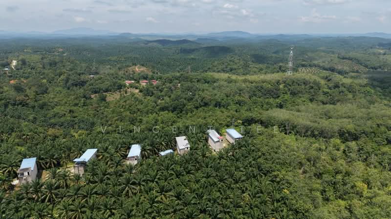 Tanah Pertanian untuk Dijual di Kuala Lipis (Pahang) - Vincent Tee - PropertyGuru.com.my