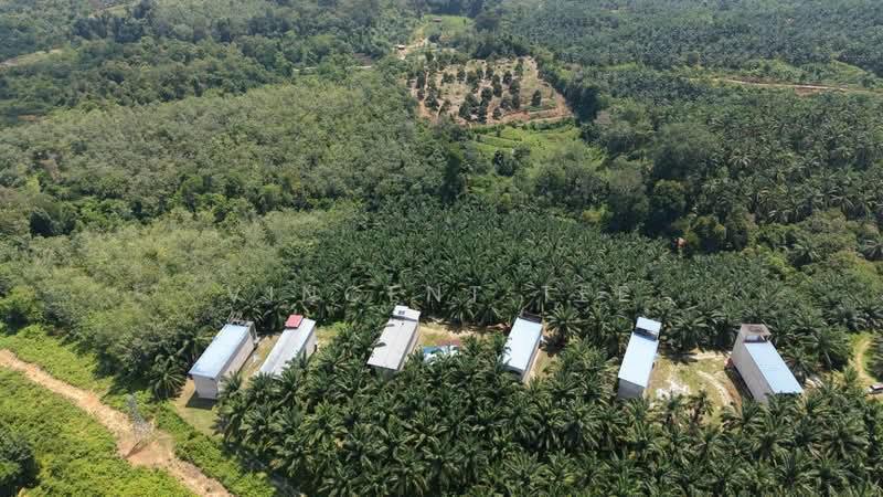 Tanah Pertanian untuk Dijual di Kuala Lipis (Pahang) - Vincent Tee - PropertyGuru.com.my