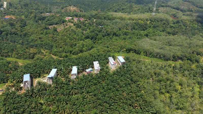 Tanah Pertanian untuk Dijual di Kuala Lipis (Pahang) - Vincent Tee - PropertyGuru.com.my