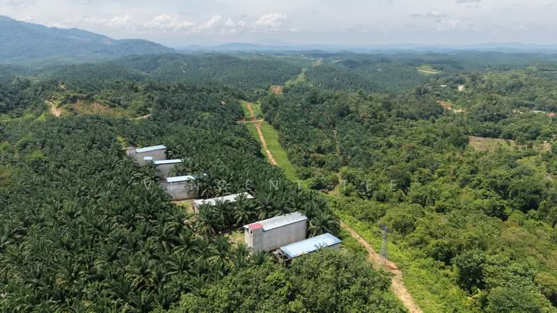 Tanah Pertanian untuk Dijual di Kuala Lipis (Pahang) - Vincent Tee - PropertyGuru.com.my