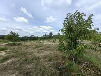 For Sale - 4.35 Acres Durian Freehold Seberang Jelai Padang Tengku Kuala Lipis