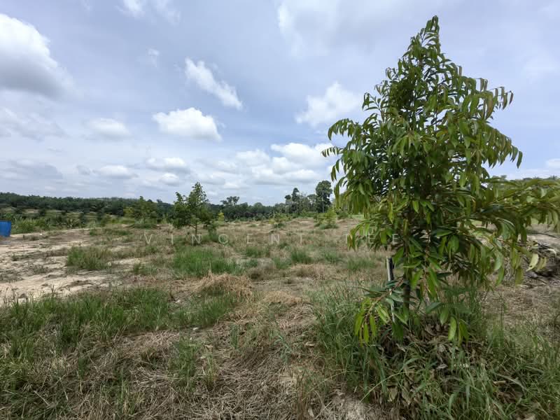 Tanah Pertanian untuk Dijual di Kuala Lipis (Pahang) - Vincent Tee - Exterior - PropertyGuru.com.my