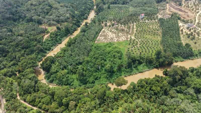 Tanah Pertanian untuk Dijual di Kuala Lipis (Pahang) - Vincent Tee - Exterior - PropertyGuru.com.my