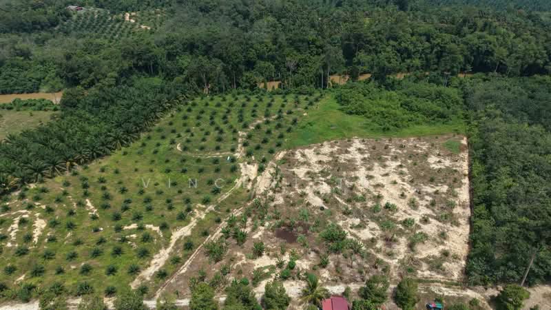 Tanah Pertanian untuk Dijual di Kuala Lipis (Pahang) - Vincent Tee - Exterior - PropertyGuru.com.my
