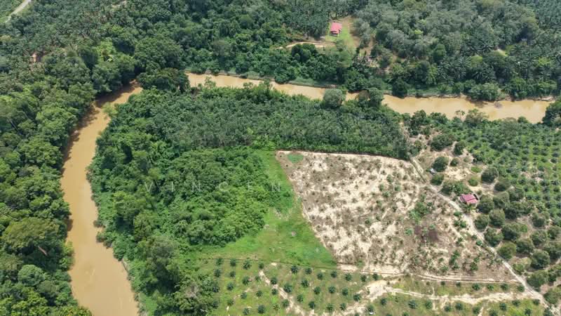 Tanah Pertanian untuk Dijual di Kuala Lipis (Pahang) - Vincent Tee - Exterior - PropertyGuru.com.my
