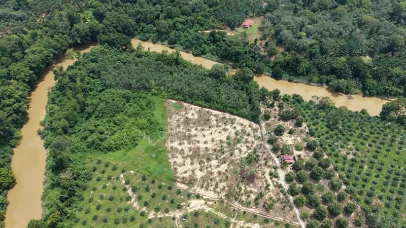 Tanah Pertanian untuk Dijual di Kuala Lipis (Pahang) - Vincent Tee - Exterior - PropertyGuru.com.my