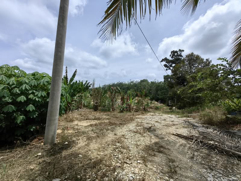 Tanah Pertanian untuk Dijual di Kuala Lipis (Pahang) - Vincent Tee - Exterior - PropertyGuru.com.my
