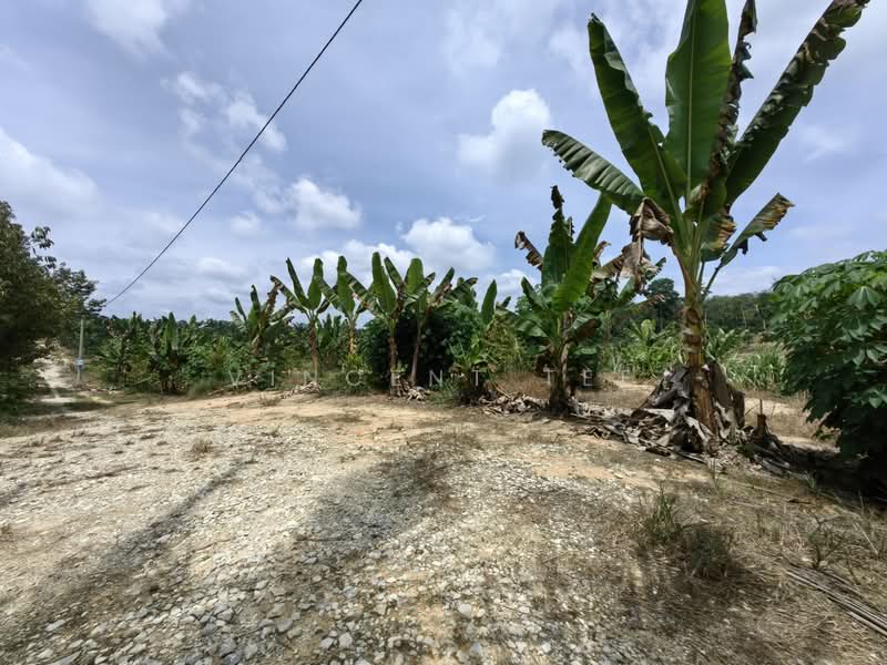 Tanah Pertanian untuk Dijual di Kuala Lipis (Pahang) - Vincent Tee - Exterior - PropertyGuru.com.my