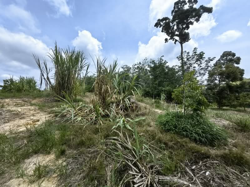 Tanah Pertanian untuk Dijual di Kuala Lipis (Pahang) - Vincent Tee - Exterior - PropertyGuru.com.my