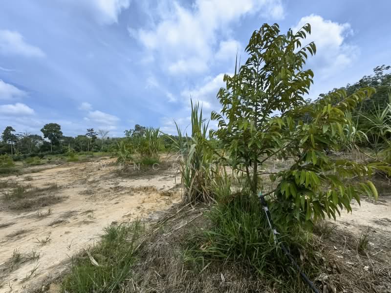 Tanah Pertanian untuk Dijual di Kuala Lipis (Pahang) - Vincent Tee - Exterior - PropertyGuru.com.my