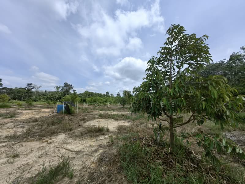 Tanah Pertanian untuk Dijual di Kuala Lipis (Pahang) - Vincent Tee - PropertyGuru.com.my