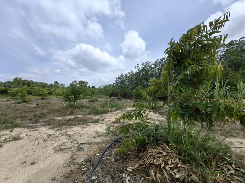 Tanah Pertanian untuk Dijual di Kuala Lipis (Pahang) - Vincent Tee - PropertyGuru.com.my