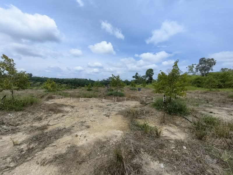 Tanah Pertanian untuk Dijual di Kuala Lipis (Pahang) - Vincent Tee - PropertyGuru.com.my