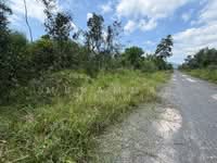 For Sale - Kampung Gong Pasir