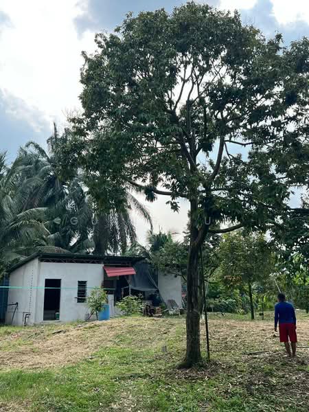 Tanah Pertanian untuk Dijual di Raub (Pahang) - Guang Jun Loh - PropertyGuru.com.my