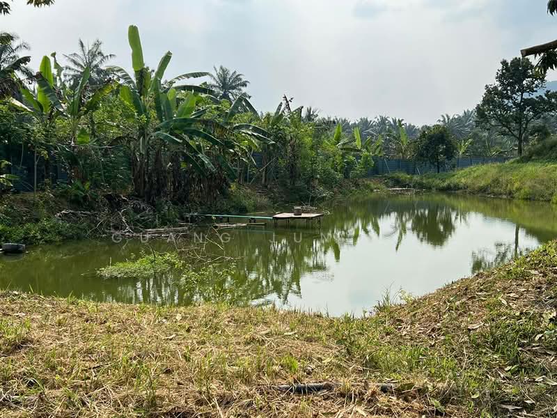Tanah Pertanian untuk Dijual di Raub (Pahang) - Guang Jun Loh - PropertyGuru.com.my