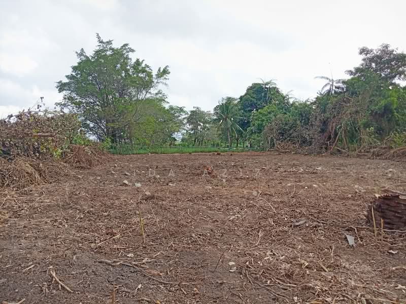 Tanah Kediaman untuk Dijual di Taman Merdeka (Pontian) - Ida Aziz - Exterior - PropertyGuru.com.my