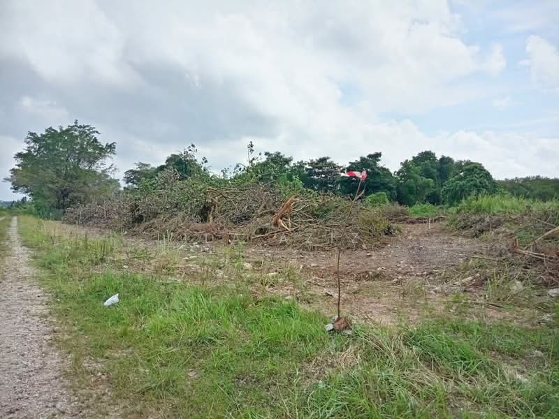 Tanah Kediaman untuk Dijual di Taman Merdeka (Pontian) - Ida Aziz - Exterior - PropertyGuru.com.my