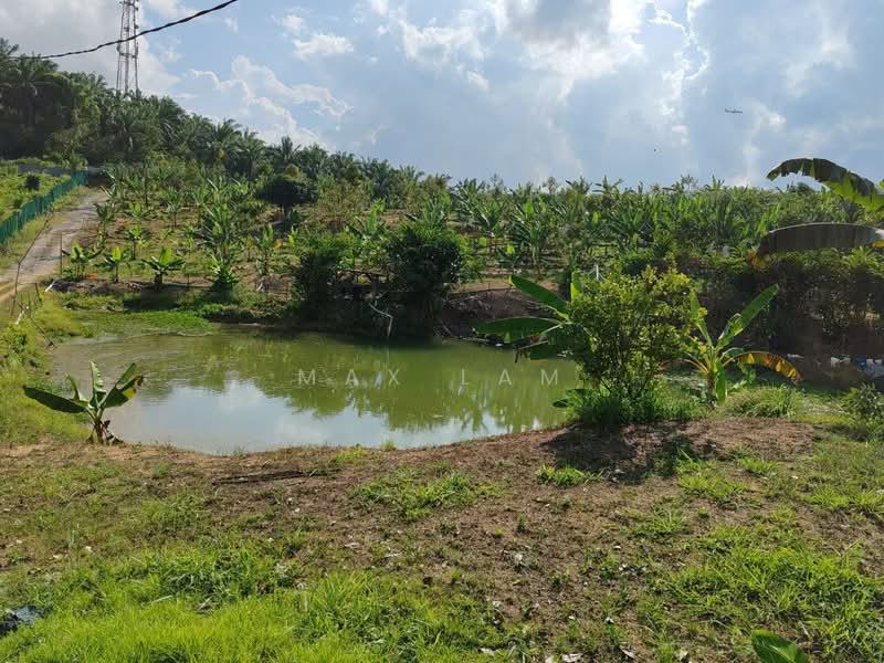Agricultural Land for Sale in Kampung Seelong Jaya (Senai) - Max Lam - PropertyGuru.com.my