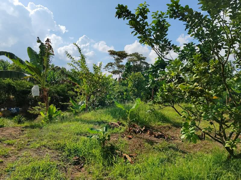 Agricultural Land for Sale in Kampung Seelong Jaya (Senai) - Max Lam - PropertyGuru.com.my