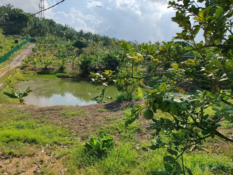Agricultural Land for Sale in Kampung Seelong Jaya (Senai) - Max Lam - PropertyGuru.com.my