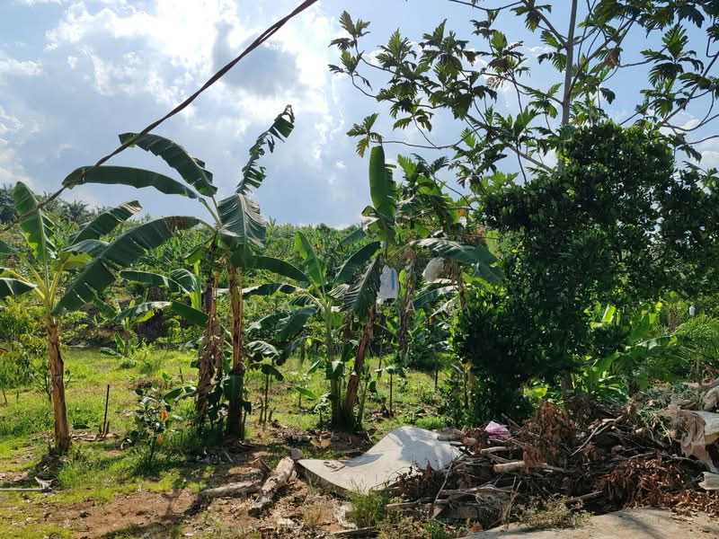 Agricultural Land for Sale in Kampung Seelong Jaya (Senai) - Max Lam - PropertyGuru.com.my