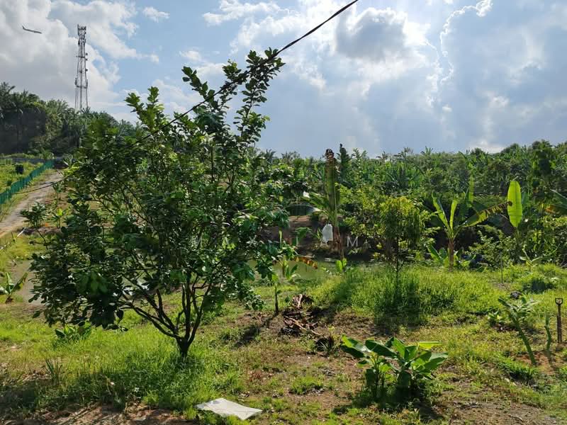 Agricultural Land for Sale in Kampung Seelong Jaya (Senai) - Max Lam - PropertyGuru.com.my