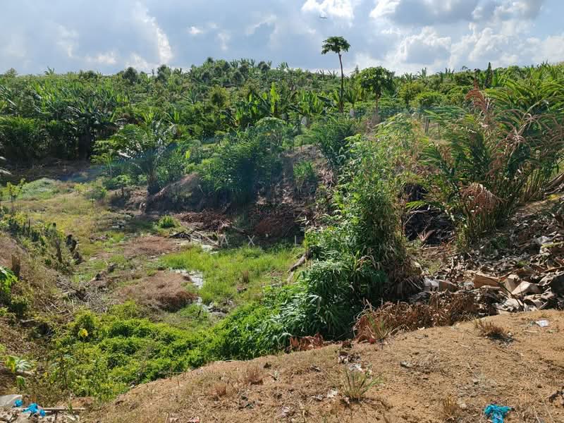 Agricultural Land for Sale in Kampung Seelong Jaya (Senai) - Max Lam - PropertyGuru.com.my