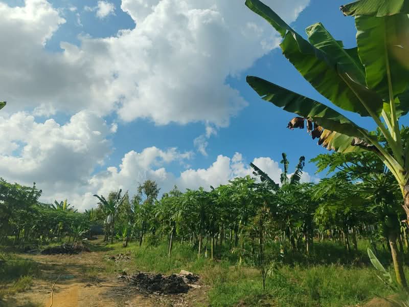 Agricultural Land for Sale in Kampung Seelong Jaya (Senai) - Max Lam - PropertyGuru.com.my