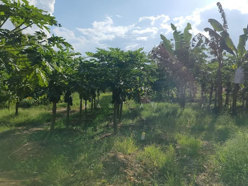 Agricultural Land for Sale in Kampung Seelong Jaya (Senai) - Max Lam - PropertyGuru.com.my