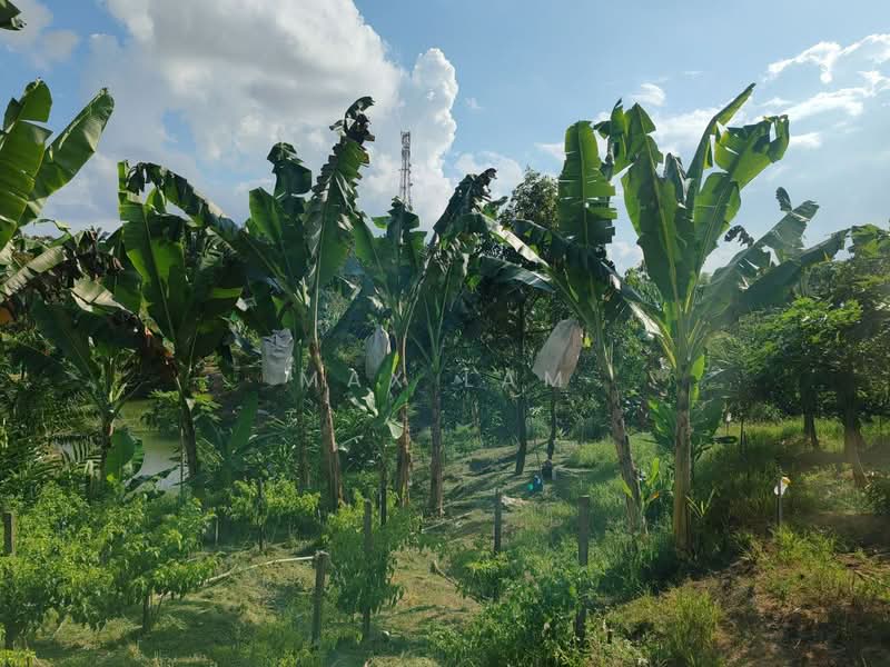 Agricultural Land for Sale in Kampung Seelong Jaya (Senai) - Max Lam - PropertyGuru.com.my